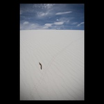 White Sands NP #2