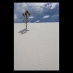 White Sands NP #3