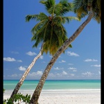 Pohlednice ze Seychel