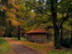 Podzimn cesta a domek