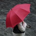 Red Umbrella in a Strorm