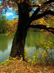 Podzim zati strumu u vody