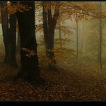 podzimn mlhy (2)