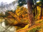 Prhonick park a sbohem podzimu