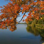 Lednicko-Valtick podzim