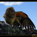 Kea papouch (Vzpomnky na Zland)