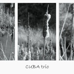 CUBA trio
