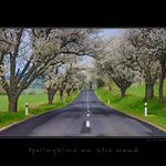 Springtime on the road