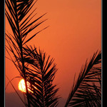 Sunset somewhere in Egypt