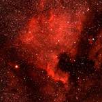Severna Amerika - NGC 7000