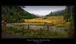 Mystical Beauty of Glendalough Valey