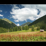 Tatransk panorama