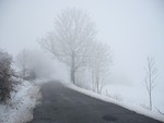 cesta mlhou