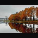 Podzim u Vltavy/zrcadlen