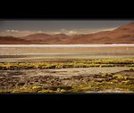 Altiplano - Bolivia