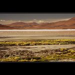 Altiplano - Bolivia