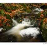 Podzimn ernohorsk potok