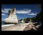 Cathetdral Cove - New Zealand