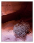 Upper Antelope Canyon | Page | Arizona | USA