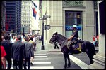 NYPD by horse