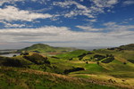 Otago peninsula