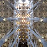 panlsko - Barcelona - Strop kostela Sagrada Familia