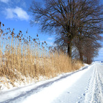 Winter road :)