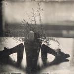 my first collodion