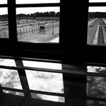 Okna v Birkenau 2