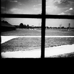 Okna v Birkenau 1