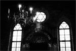 synagoga Poln
