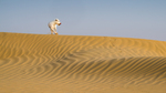 desert dancing