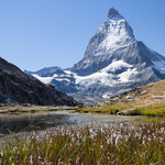 Matterhorn pes Riffelsee