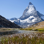 Matterhorn pes Riffelsee II