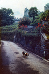 Bellinzona 1983