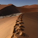 Namibské písečné moře