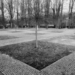 Symetrie v parku