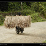 Laos ::: Stecha na cest