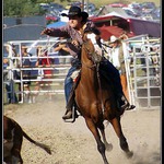 Muráňske rodeo - vrcholna sústredenosť