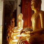 Budhovia na Sri Lanke