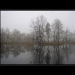 Jezero v mlhch