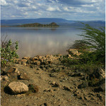 Jezero Baringo