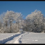 Cesta do sněhového království