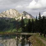 Karnichsk Alpy