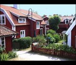 vdsko - ostrov Sandhamn (1)