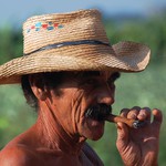 Pestovate tabaku - Vinales (Kuba)
