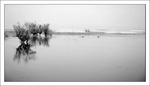 Skadarsk jezero II