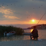 Ryb u jezera Ohrid