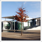 Berlnsk imprese -       Der Baum