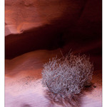 Upper Antelope Canyon | Page | Arizona | USA